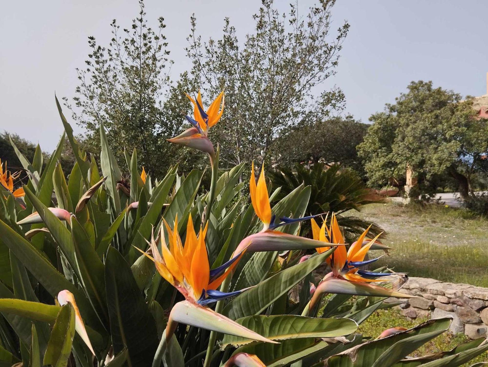 Holiday Home Riccio Di Mare Sardinia Marongiu Εξωτερικό φωτογραφία