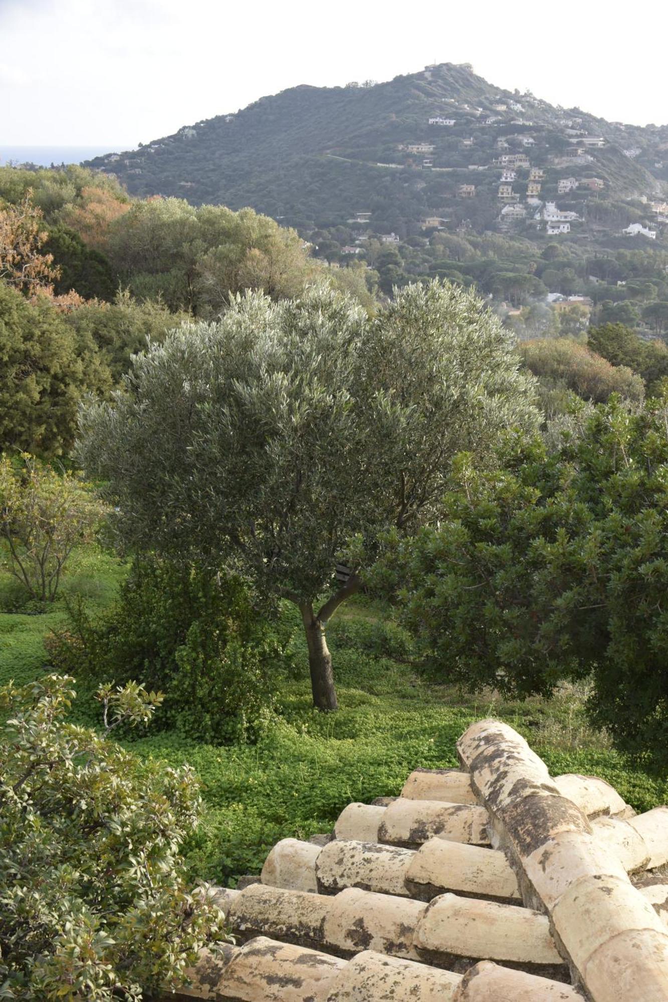 Holiday Home Riccio Di Mare Sardinia Marongiu Εξωτερικό φωτογραφία